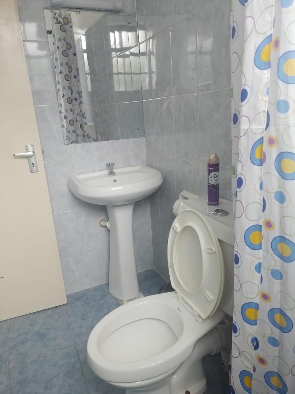 2 Bedroom Apt 20 Min To Jkia Airport,Sgr Train St. Athi River Extérieur photo